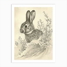 Polish Rabbit Drawing 1 Art Print