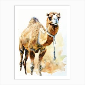 Camel Watercolor Painting Art Print