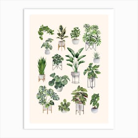 Plant Collection 3 Art Print