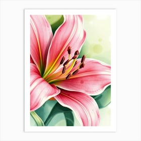 Pink Lily 5 Art Print