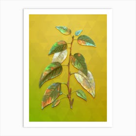 Vintage Balsam Poplar Leaves Botanical Art on Empire Yellow Art Print