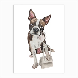 Mercedes Lopez Charro - Frenchie Fashion Dog - STYLE & FASHION