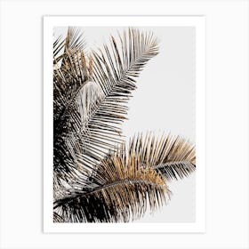 California Palm Art Print