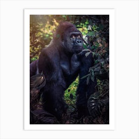 Silverback Gorilla In The Jungle Art Print