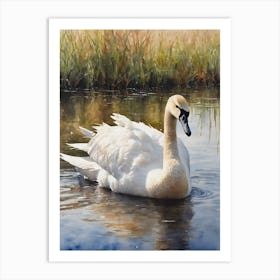 Trumpeter Swan Art Print