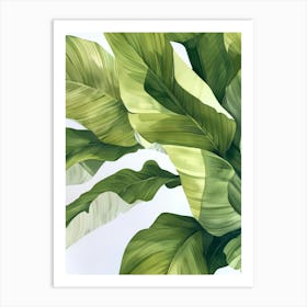 Tropical Leaves 26 Art Print