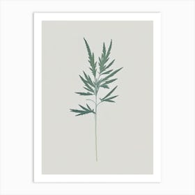 Mugwort Herb Simplicity Art Print