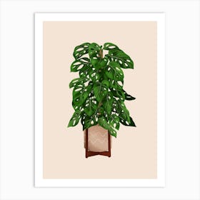 Monstera Adansonii Plant Art Print
