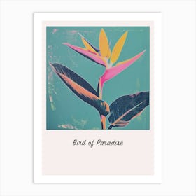 Bird Of Paradise 3 Square Flower Illustration Poster Art Print