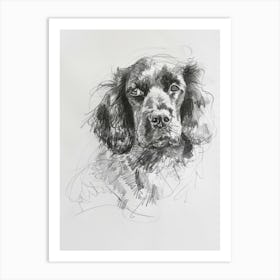 American Water Spaniel Dog Charcoal Line 4 Art Print