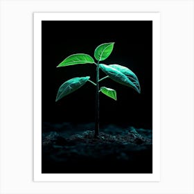 Green Plant Growing In The Dark 1 Art Print