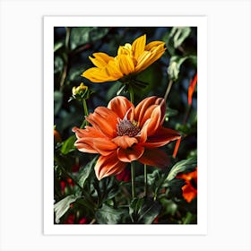 Dahlias 10 Art Print