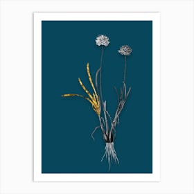 Vintage Allium Carolinianum Black and White Gold Leaf Floral Art on Teal Blue n.0240 Art Print