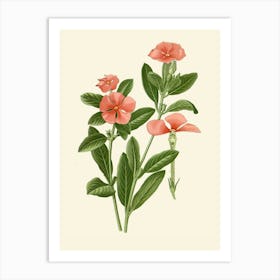 Hibiscus 47 Art Print