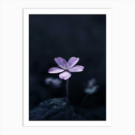 Single Purple Flower Art Print