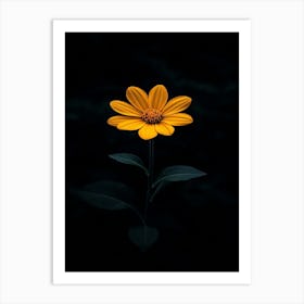 Single Yellow Flower 15 Art Print