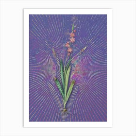 Vintage Ixia Scillaris Botanical Illustration on Veri Peri n.0469 Art Print