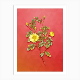 Vintage Yellow Sweetbriar Rose Botanical Art on Fiery Red n.0328 Art Print
