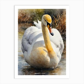 Gold Whooper Swan Art Print