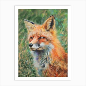 Fox Pastel Watercolour 1 Poster