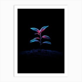 Plant Growing In The Dark 22 Art Print