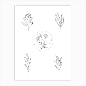 Botanical Magic Art Print