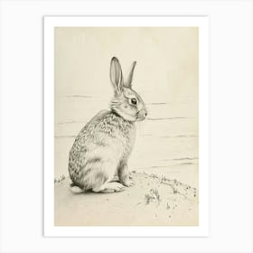 Silver Marten Rabbit Drawing 2 Art Print