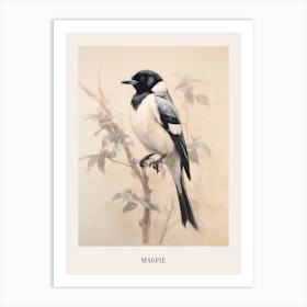 Vintage Bird Drawing Magpie 1 Poster Art Print