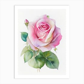 Rose Wildflower Watercolour 2 Art Print