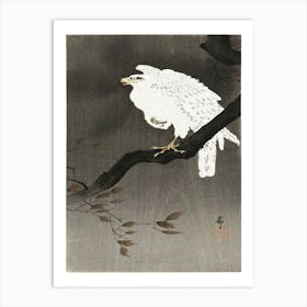 Snowy Eagle On A Tree Branch (1910 1930), Ohara Koson Art Print