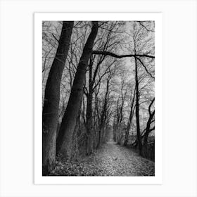 Idyllic forest path with deciduous trees in autumn time in black white Art Print