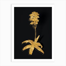 Vintage Sun Star Botanical in Gold on Black Art Print