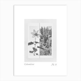 Columbine Botanical Collage 3 Art Print