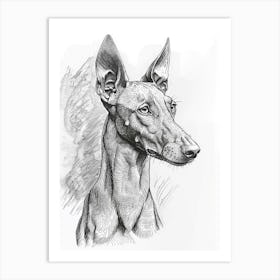 Ibizan Hound Dog Line Sketch  4 Art Print