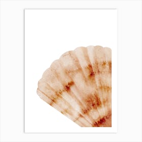 Colored seashells. Seashells. Summer. 16 Art Print