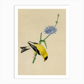 Goldfinch Art Print