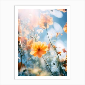 Cosmos Flowers Art Print