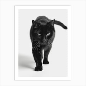 Black Cat Walking 1 Art Print