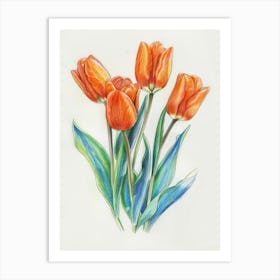 Orange Tulips 4 Art Print