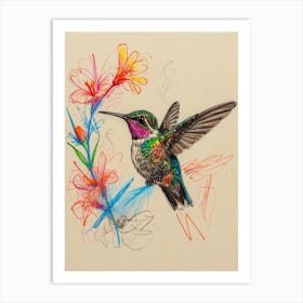 Hummingbird 17 Art Print