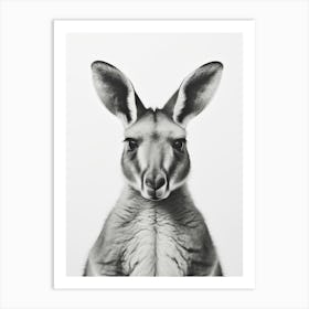 Portrait Känguru schwarz-weiß, Minimalistische Fotografie Illustration Art Print