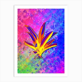 Boat Lily Botanical in Acid Neon Pink Green and Blue n.0272 Art Print