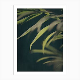 Dark Foliage 2 Art Print