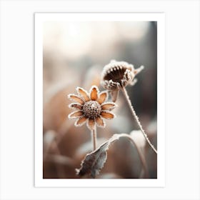 Pastel Nature Macro No 14 Art Print