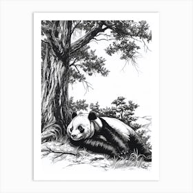 Giant Panda Laying Under A Tree Ink Illustration 4 Art Print