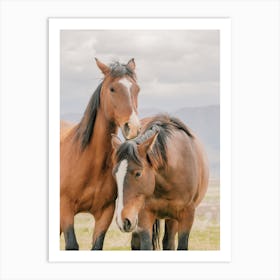 Two Bay Horses Art Print