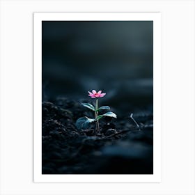 Single Flower In The Dark 83 Art Print