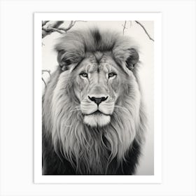 African Lion Realism Portrait 1 Art Print