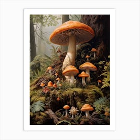 Forest Mushrooms 3 Art Print