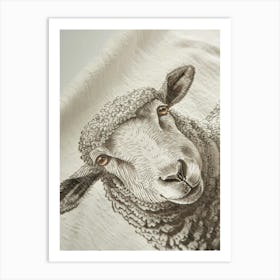 Sheep 2 Art Print